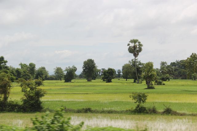 100-Tonle-Sap-209.jpg - Kratie, Cambodja